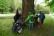 Die Schüler stehen im Kreis um einen dicken Baum herum.